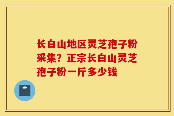 长白山地区灵芝孢子粉采集？正宗长白山灵芝孢子粉一斤多少钱