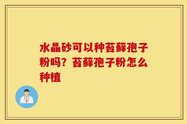 水晶砂可以种苔藓孢子粉吗？苔藓孢子粉怎么种植