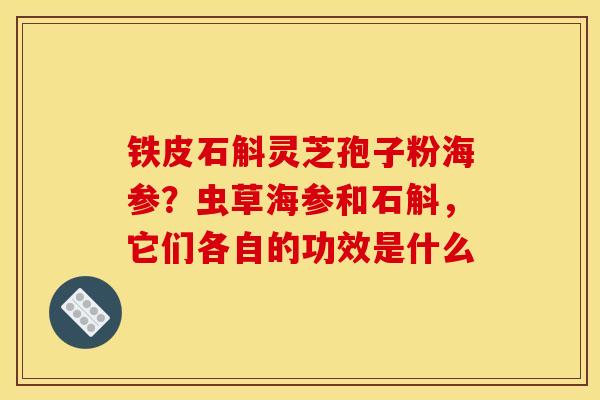 铁皮石斛灵芝孢子粉海参？虫草海参和石斛，它们各自的功效是什么