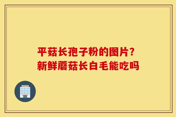 平菇长孢子粉的图片？新鲜蘑菇长白毛能吃吗