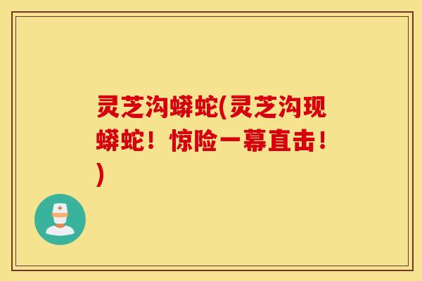 灵芝沟蟒蛇(灵芝沟现蟒蛇！惊险一幕直击！)
