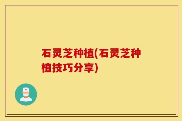 石灵芝种植(石灵芝种植技巧分享)