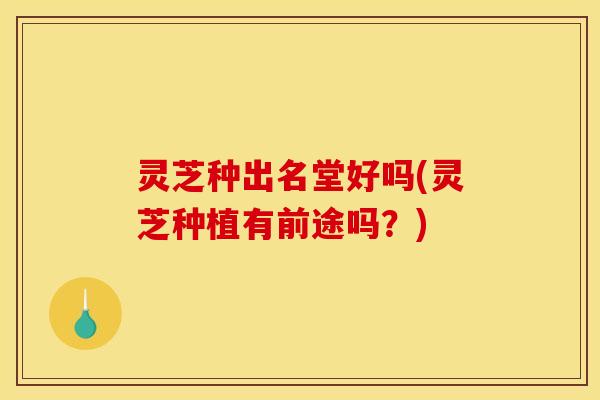 灵芝种出名堂好吗(灵芝种植有前途吗？)