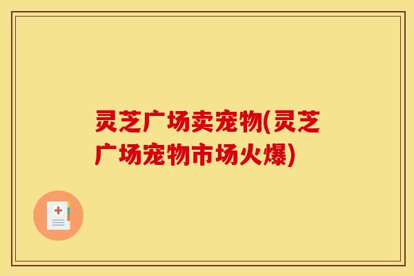 灵芝广场卖宠物(灵芝广场宠物市场火爆)