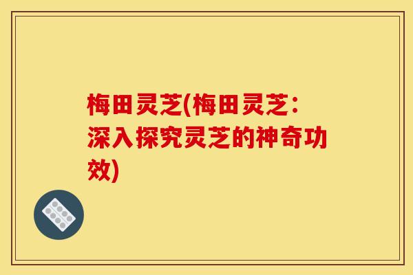梅田灵芝(梅田灵芝：深入探究灵芝的神奇功效)
