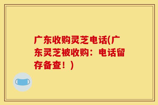 广东收购灵芝电话(广东灵芝被收购：电话留存备查！)