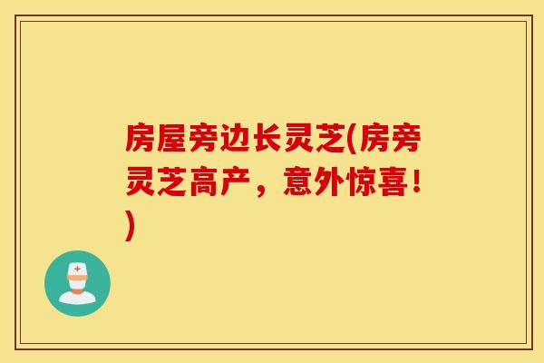 房屋旁边长灵芝(房旁灵芝高产，意外惊喜！)