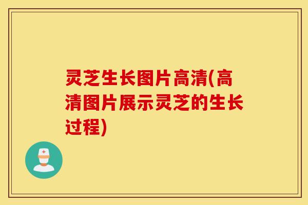 灵芝生长图片高清(高清图片展示灵芝的生长过程)