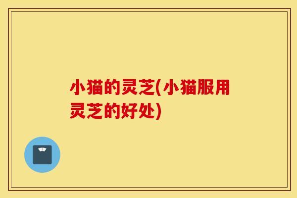 小猫的灵芝(小猫服用灵芝的好处)