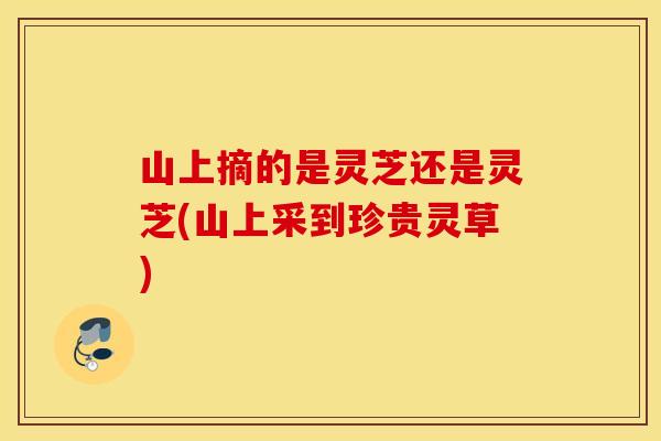山上摘的是灵芝还是灵芝(山上采到珍贵灵草)