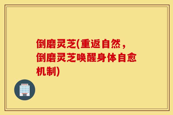 倒磨灵芝(重返自然，倒磨灵芝唤醒身体自愈机制)