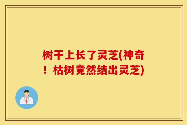树干上长了灵芝(神奇！枯树竟然结出灵芝)