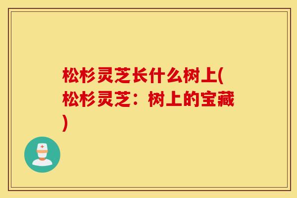 松杉灵芝长什么树上(松杉灵芝：树上的宝藏)