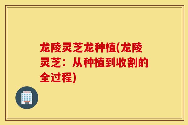 龙陵灵芝龙种植(龙陵灵芝：从种植到收割的全过程)