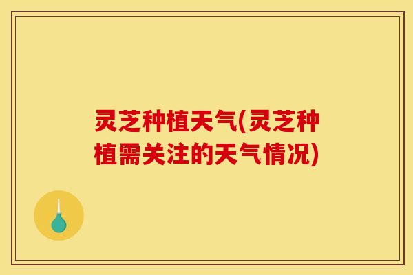 灵芝种植天气(灵芝种植需关注的天气情况)