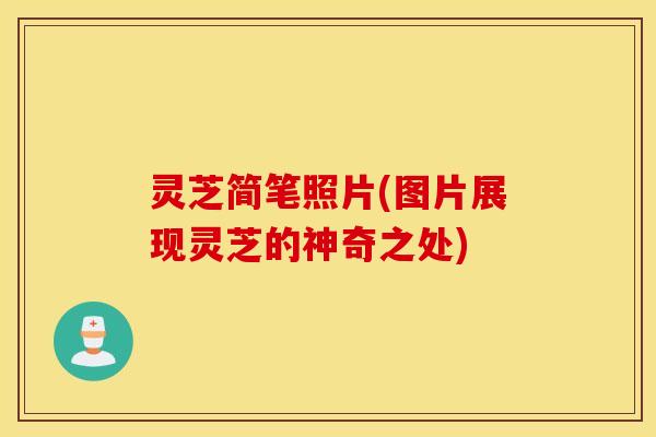 灵芝简笔照片(图片展现灵芝的神奇之处)