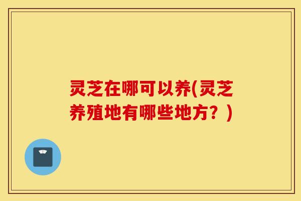 灵芝在哪可以养(灵芝养殖地有哪些地方？)