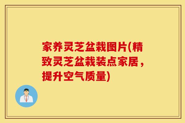 家养灵芝盆栽图片(精致灵芝盆栽装点家居，提升空气质量)