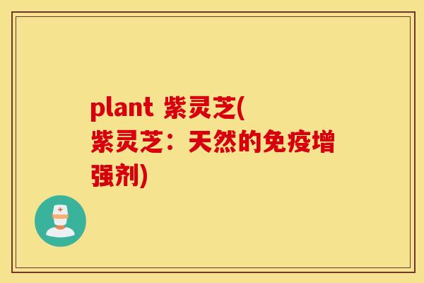 plant 紫灵芝(紫灵芝：天然的免疫增强剂)
