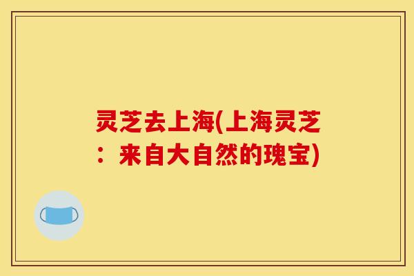 灵芝去上海(上海灵芝：来自大自然的瑰宝)