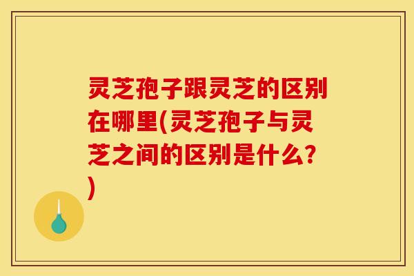 灵芝孢子跟灵芝的区别在哪里(灵芝孢子与灵芝之间的区别是什么？)