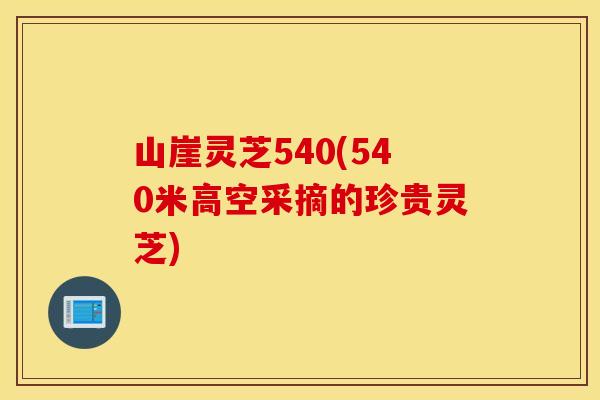 山崖灵芝540(540米高空采摘的珍贵灵芝)