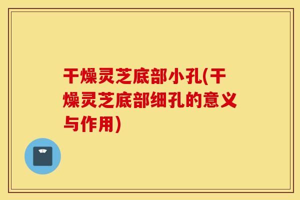 干燥灵芝底部小孔(干燥灵芝底部细孔的意义与作用)