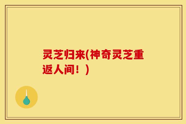 灵芝归来(神奇灵芝重返人间！)