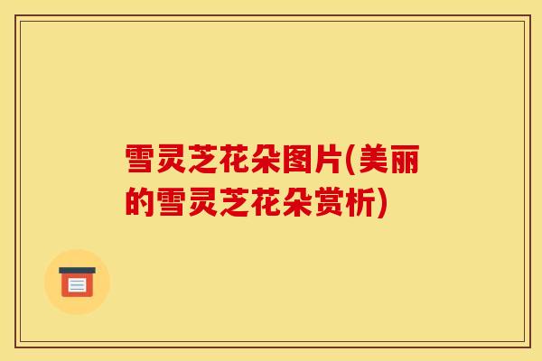 雪灵芝花朵图片(美丽的雪灵芝花朵赏析)