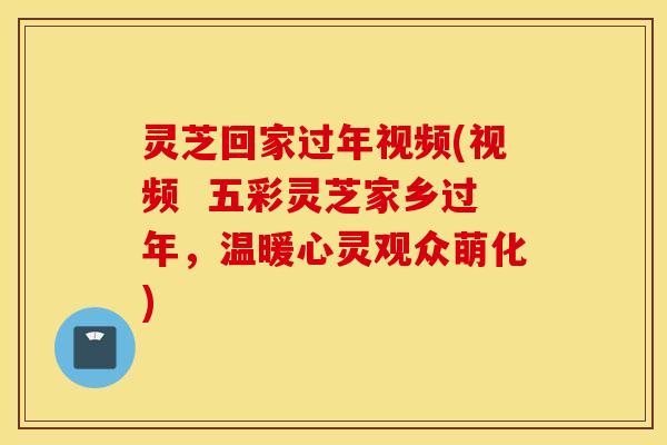灵芝回家过年视频(视频  五彩灵芝家乡过年，温暖心灵观众萌化)