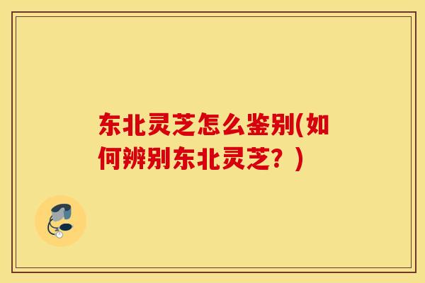 东北灵芝怎么鉴别(如何辨别东北灵芝？)