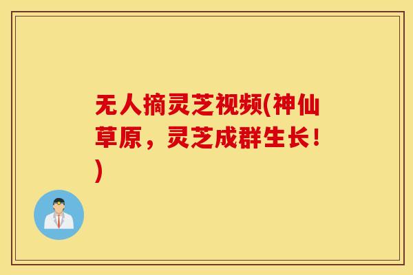 无人摘灵芝视频(神仙草原，灵芝成群生长！)
