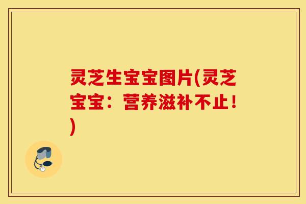 灵芝生宝宝图片(灵芝宝宝：营养滋补不止！)