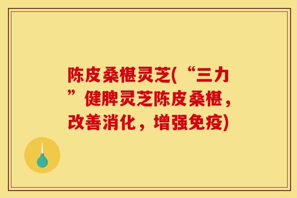 陈皮桑椹灵芝(“三力”健脾灵芝陈皮桑椹，改善消化，增强免疫)