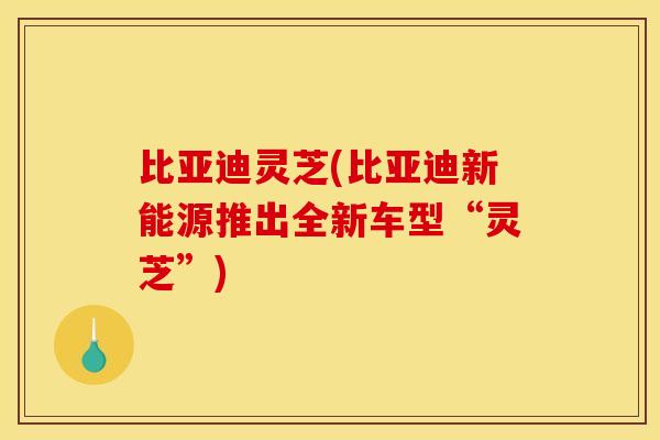比亚迪灵芝(比亚迪新能源推出全新车型“灵芝”)