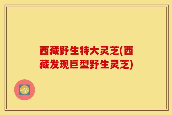 西藏野生特大灵芝(西藏发现巨型野生灵芝)