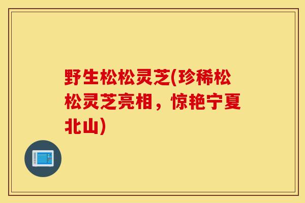野生松松灵芝(珍稀松松灵芝亮相，惊艳宁夏北山)