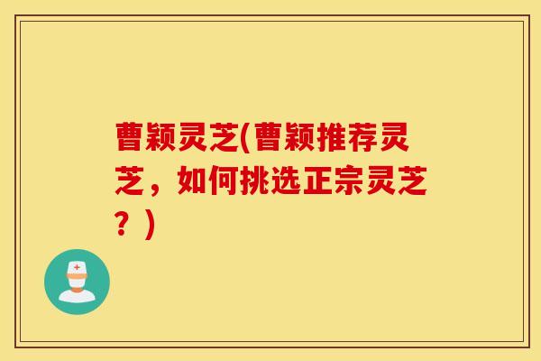 曹颖灵芝(曹颖推荐灵芝，如何挑选正宗灵芝？)