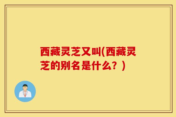 西藏灵芝又叫(西藏灵芝的别名是什么？)