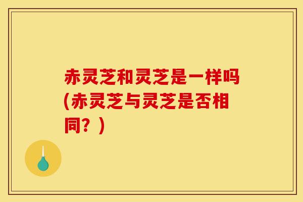 赤灵芝和灵芝是一样吗(赤灵芝与灵芝是否相同？)