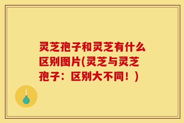 灵芝孢子和灵芝有什么区别图片(灵芝与灵芝孢子：区别大不同！)