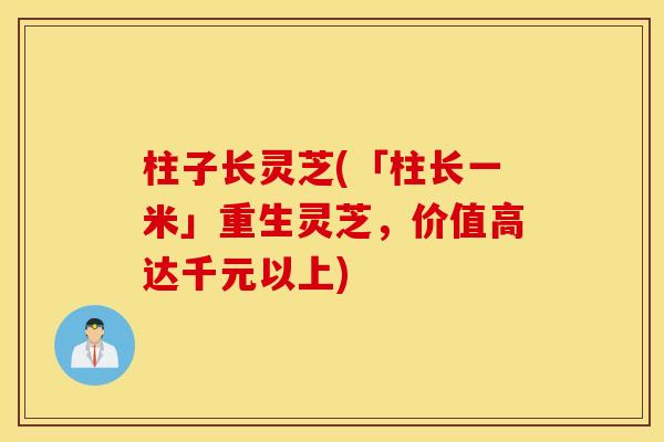 柱子长灵芝(「柱长一米」重生灵芝，价值高达千元以上)
