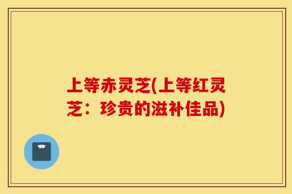 上等赤灵芝(上等红灵芝：珍贵的滋补佳品)