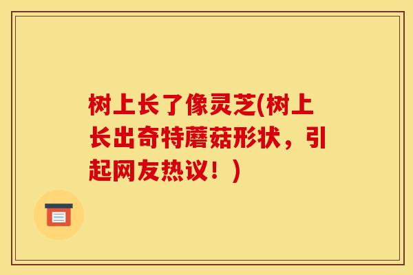 树上长了像灵芝(树上长出奇特蘑菇形状，引起网友热议！)