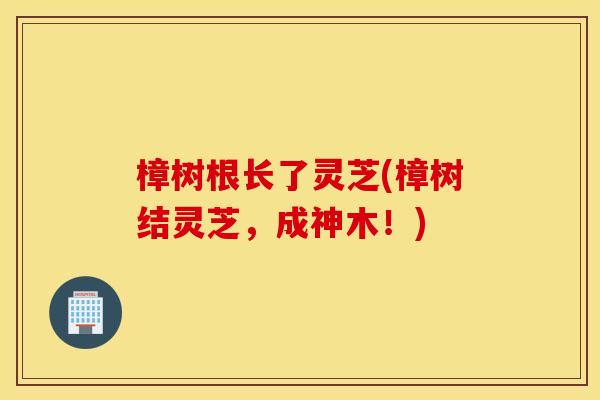 樟树根长了灵芝(樟树结灵芝，成神木！)