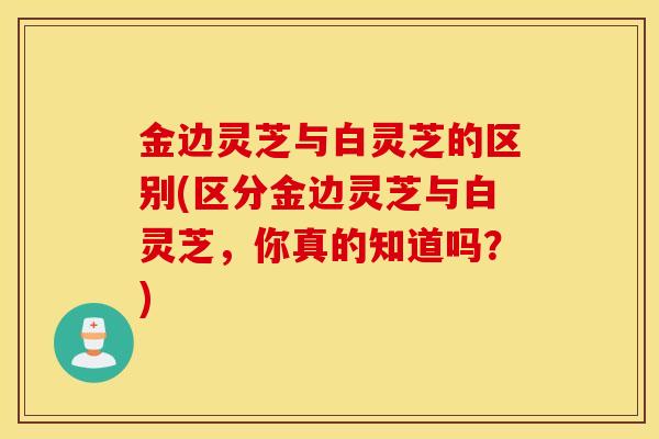 金边灵芝与白灵芝的区别(区分金边灵芝与白灵芝，你真的知道吗？)