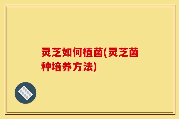 灵芝如何植菌(灵芝菌种培养方法)