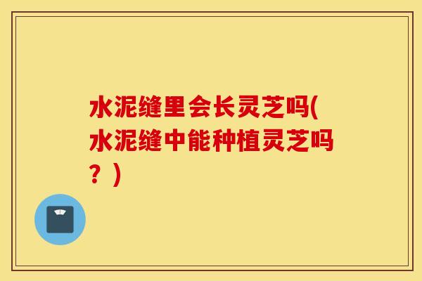 水泥缝里会长灵芝吗(水泥缝中能种植灵芝吗？)