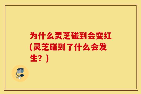 为什么灵芝碰到会变红(灵芝碰到了什么会发生？)