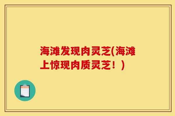 海滩发现肉灵芝(海滩上惊现肉质灵芝！)